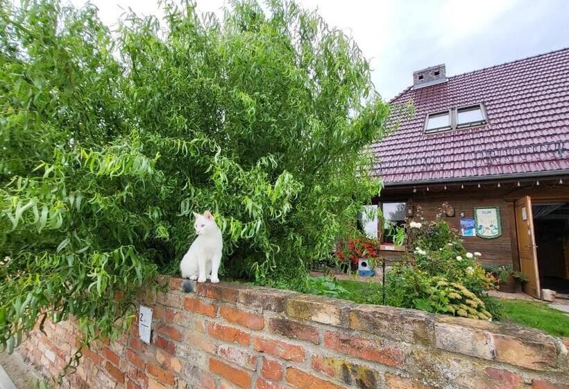 צימר Dom Gościnny Ptaszarnia Natura Free Parking