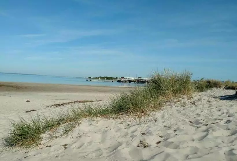 Aamiaismajoitus (B&B) Dom Wczasowy Dorja