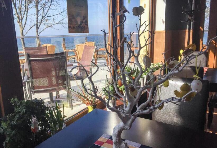 צימר Dw California