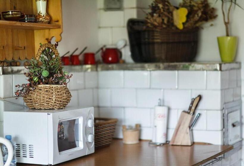 تختخواب و صبحانه Stylowy Góralski Dom Rozetka