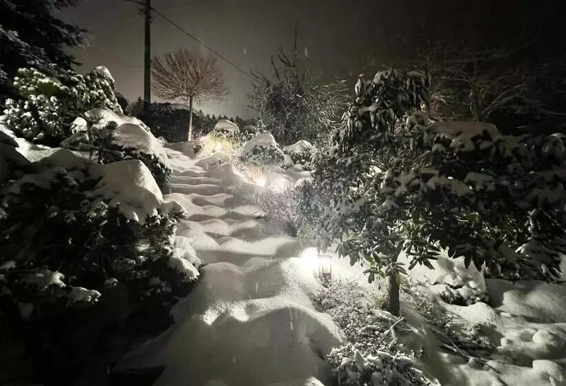 Aamiaismajoitus (B&B) Willa Pod Czantorią Spa Ustroń