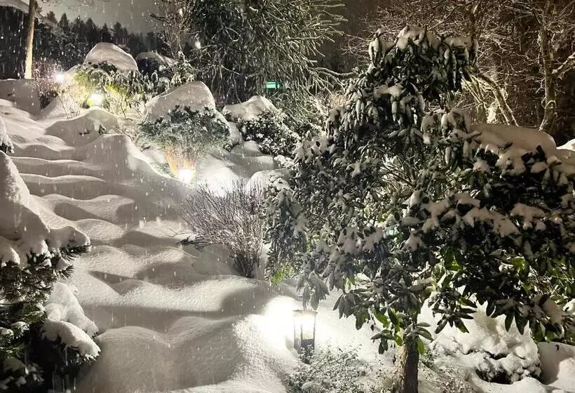 Aamiaismajoitus (B&B) Willa Pod Czantorią Spa Ustroń