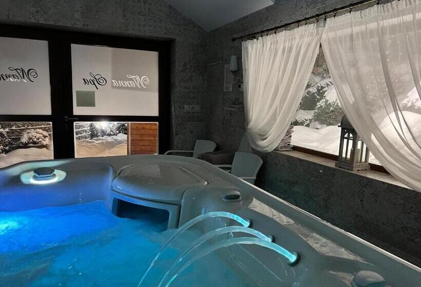 تختخواب و صبحانه Willa Pod Czantorią Spa Ustroń