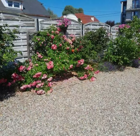 Aamiaismajoitus (B&B) Willa Sunrise