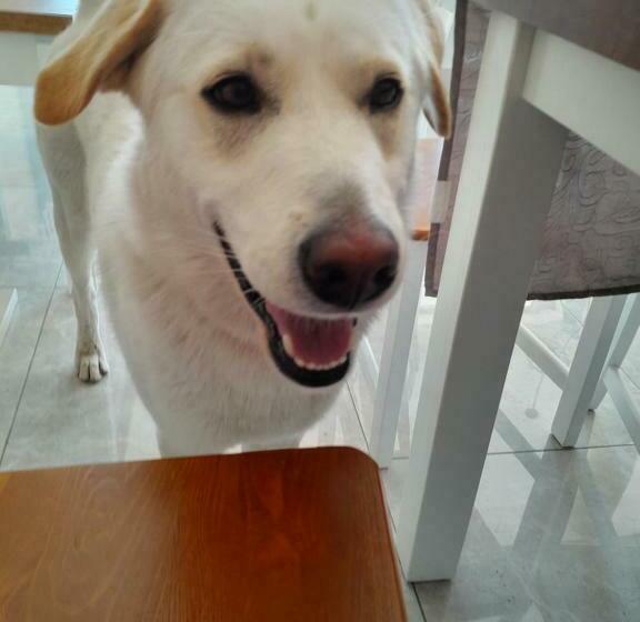 مبيت وإفطار Willa Sunrise