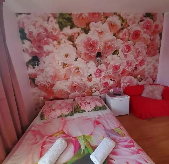 Aamiaismajoitus (B&B) Willa Sunrise