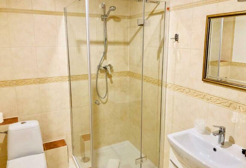 בית מלון כפרי Artis