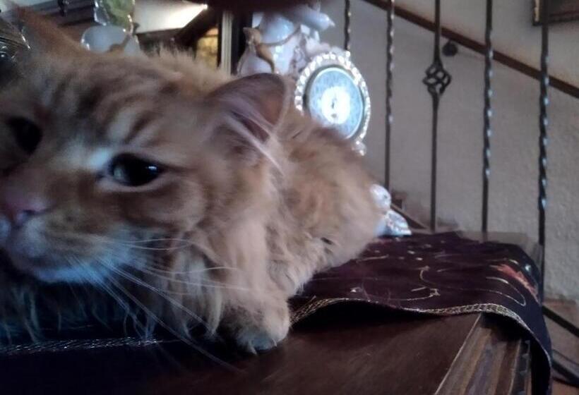 호텔 Dworek Pod Herbem