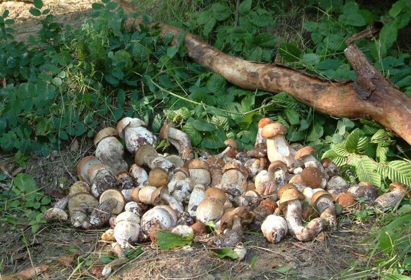 호텔 Noclegi Nad Jeziorem Myczkowieckim