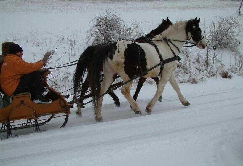 호텔 Noclegi Nad Jeziorem Myczkowieckim