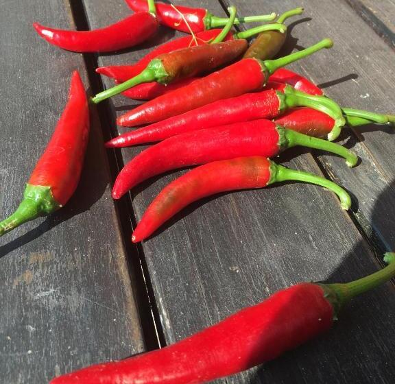 酒店 W Starym Sadzie