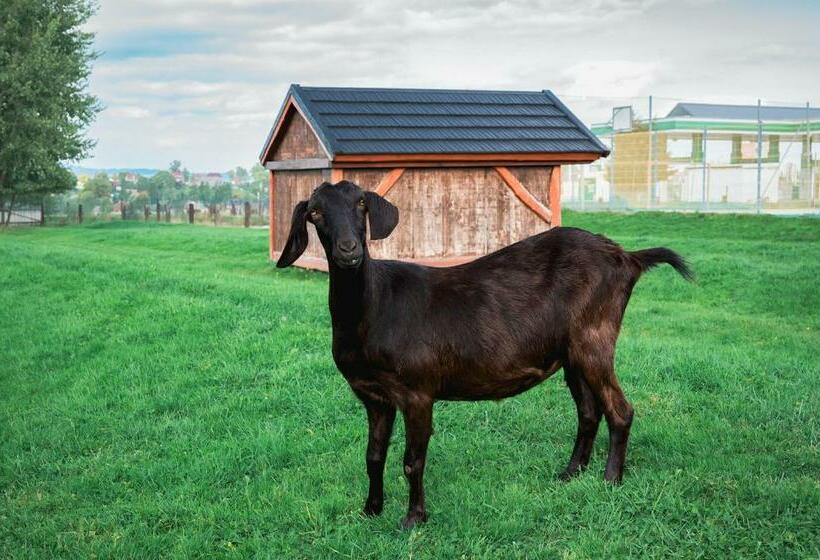 فندق Zajazd Chyżne