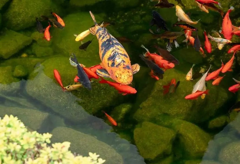 Hotelli Zajazd Chyżne