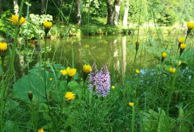 酒店 Zbójnicki Ostęp