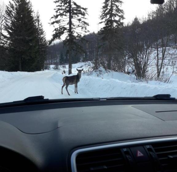 酒店 Zbójnicki Ostęp