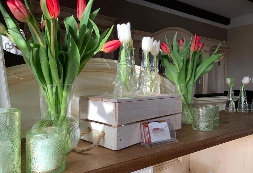 汽车旅馆  Dworek Golikowo