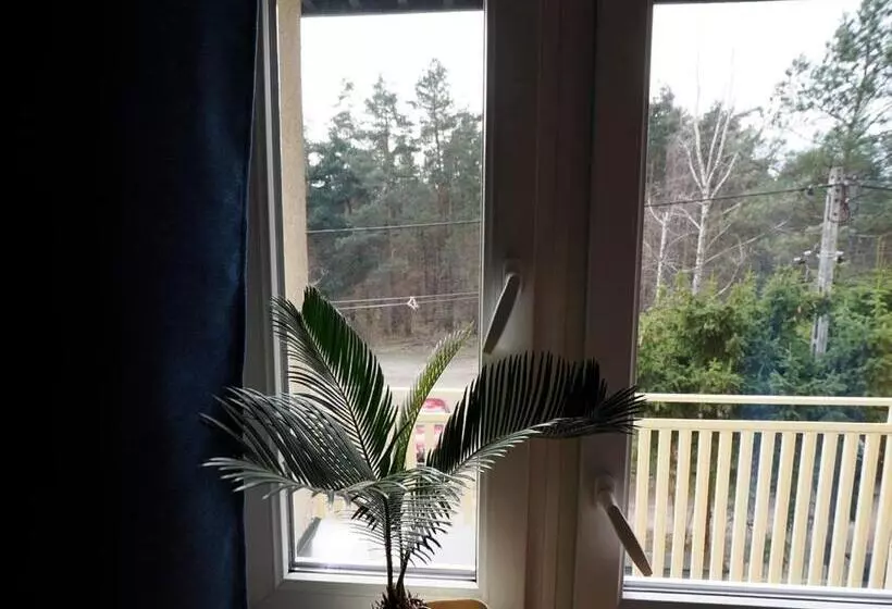 ペンション Villa Romano