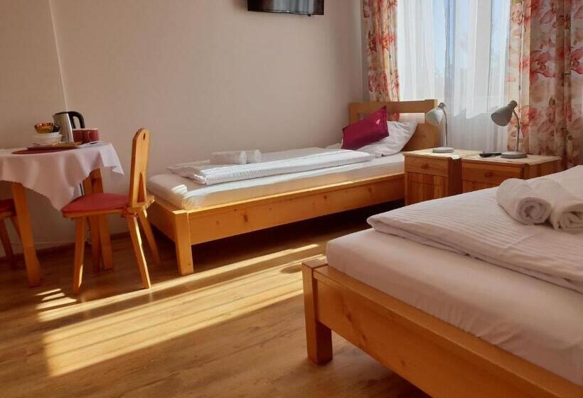 پانسیون Willa Aziza