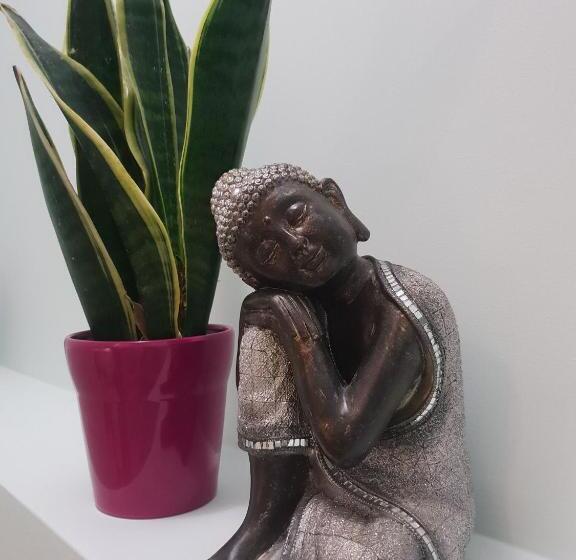 پانسیون Willa Aziza