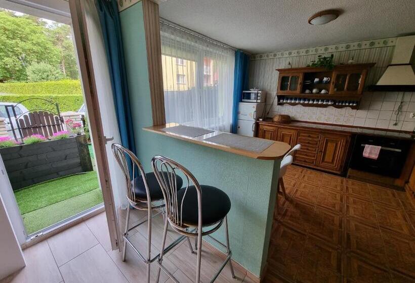 펜션 Willa Zachodni Brzeg