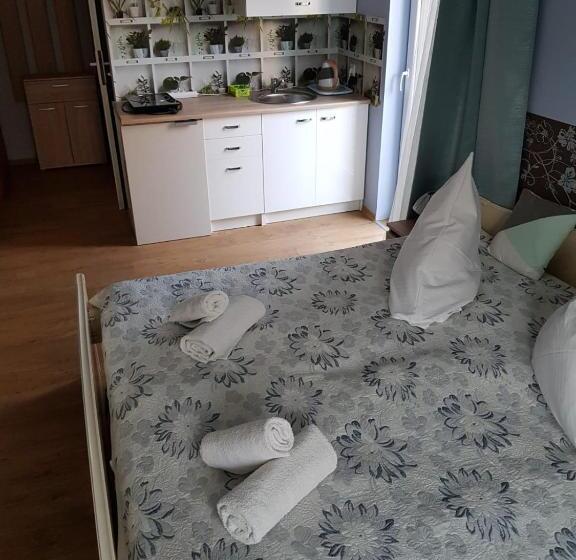 펜션 Willa Zachodni Brzeg