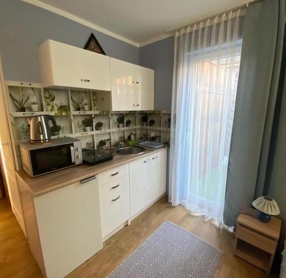 펜션 Willa Zachodni Brzeg