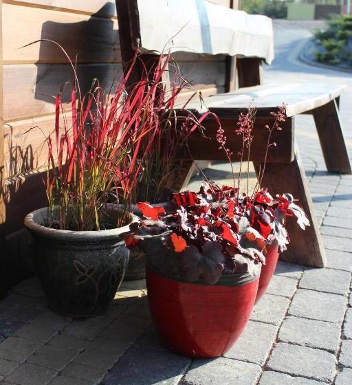 호스텔 Dobry Czas