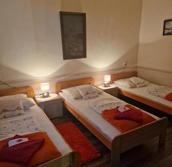 مبيت وإفطار Irena