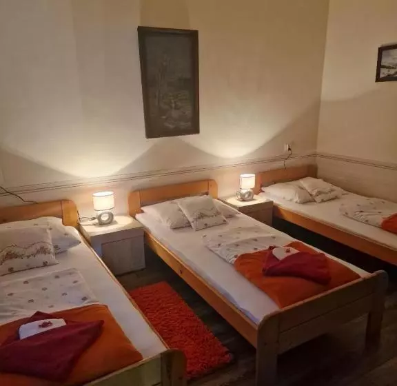 Aamiaismajoitus (B&B) Irena