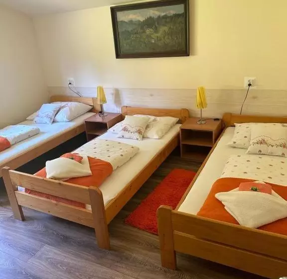 Aamiaismajoitus (B&B) Irena