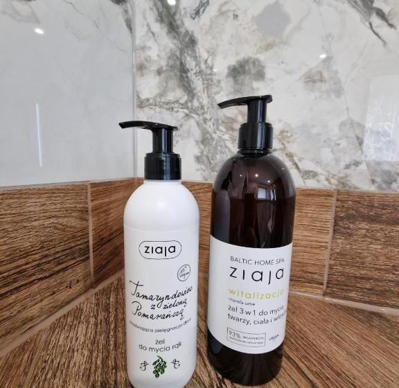 مبيت وإفطار Irena