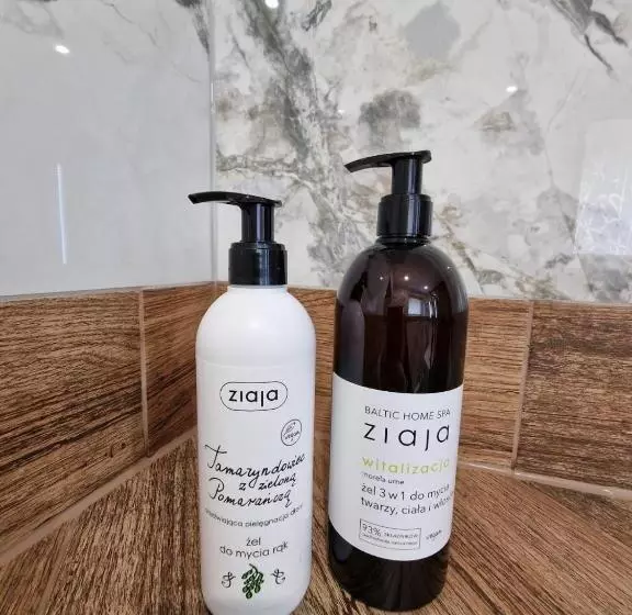 Aamiaismajoitus (B&B) Irena