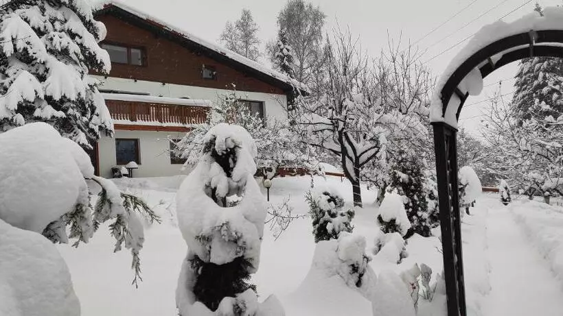 ベッドアンドブレックファースト Willa Panorama Spa