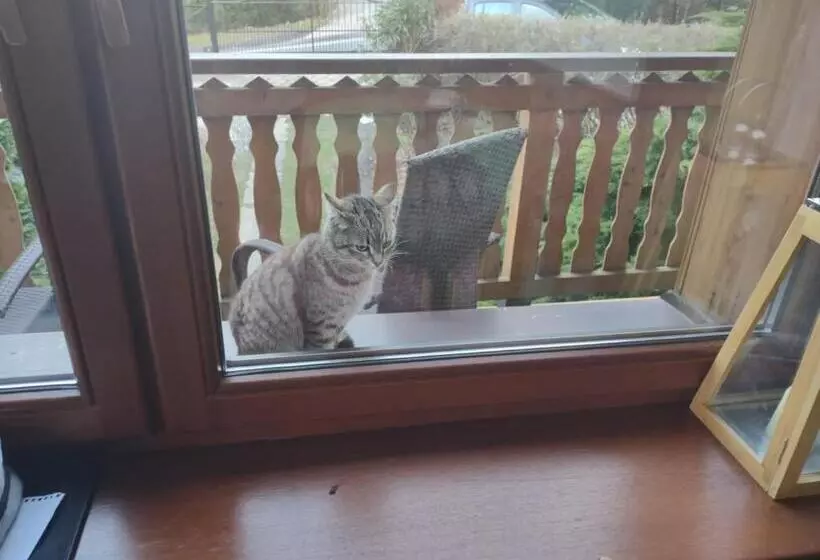 ベッドアンドブレックファースト Willa Panorama Spa