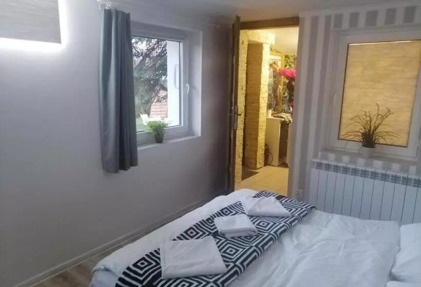 ベッドアンドブレックファースト Willa Panorama Spa