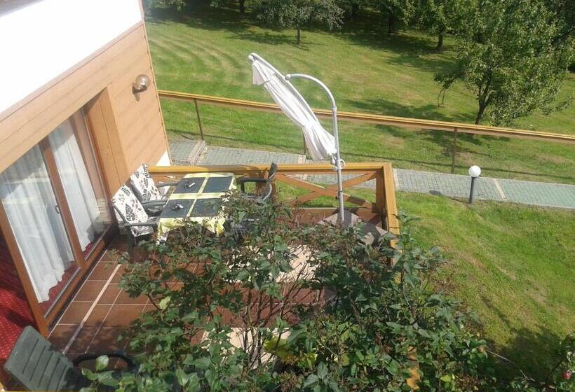 تختخواب و صبحانه Willa Panorama Spa