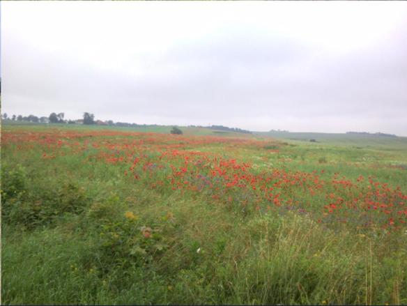 בית מלון כפרי Fajne Miejsce