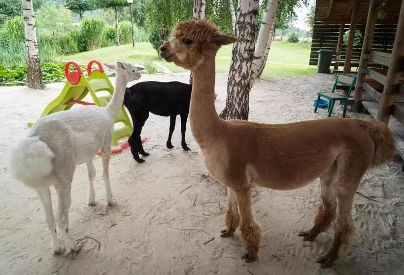 Hotelli Księżyc W świebodzicach