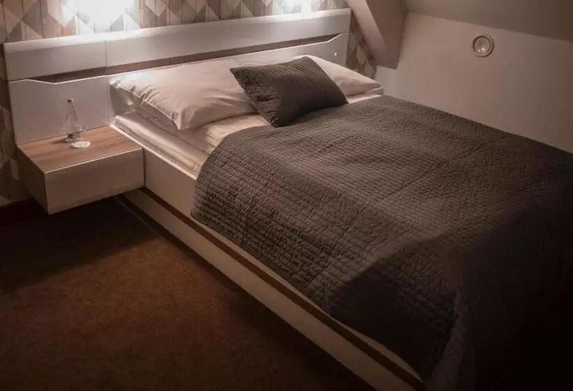 Hotelli Restauracja Platan