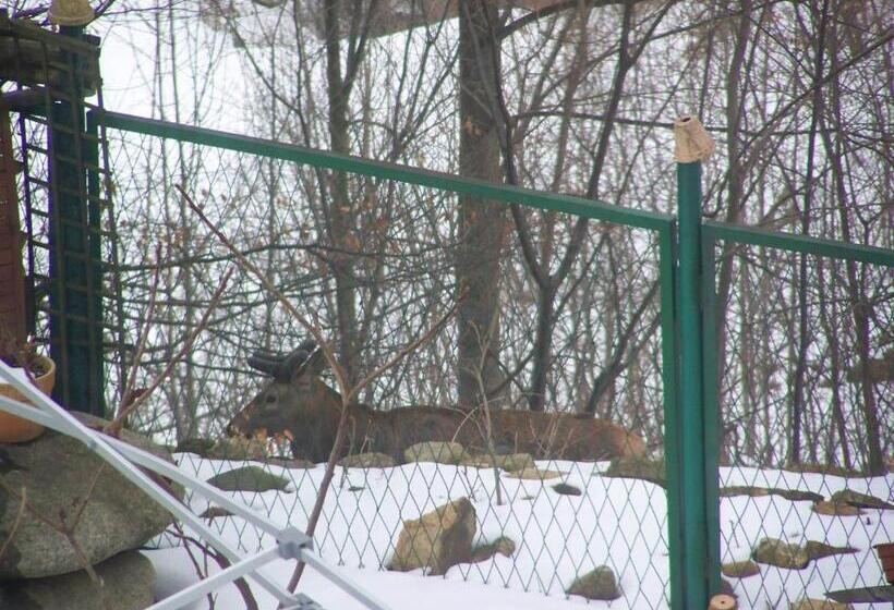 استراحتگاه Beatka