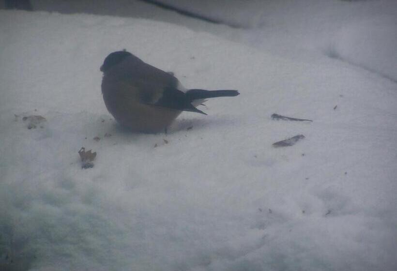 استراحتگاه Beatka