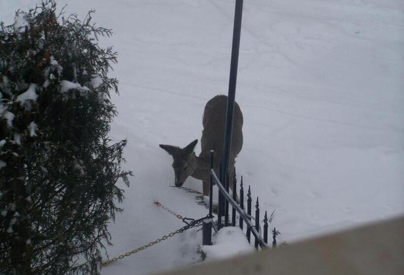 استراحتگاه Beatka