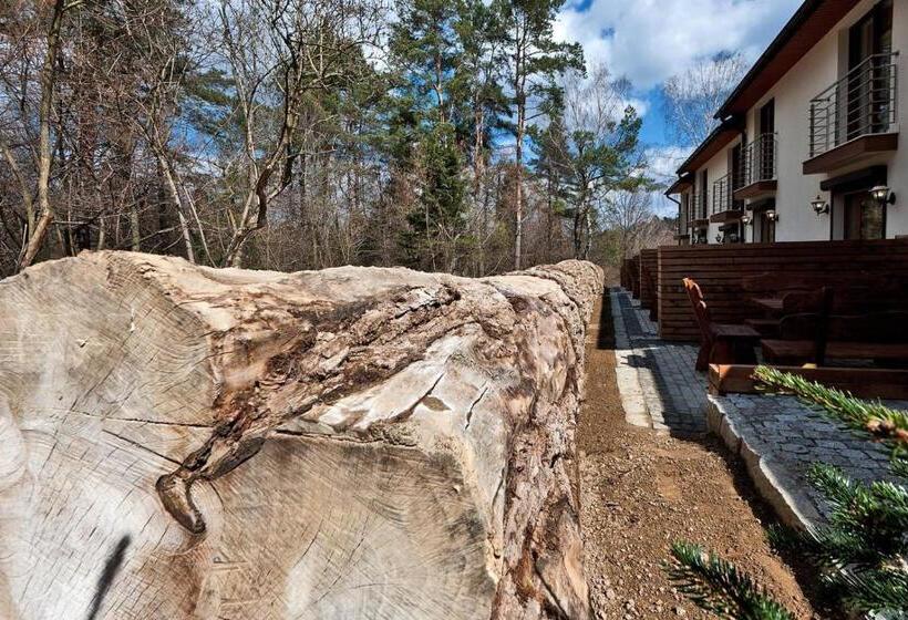 استراحتگاه Mevo Apartament