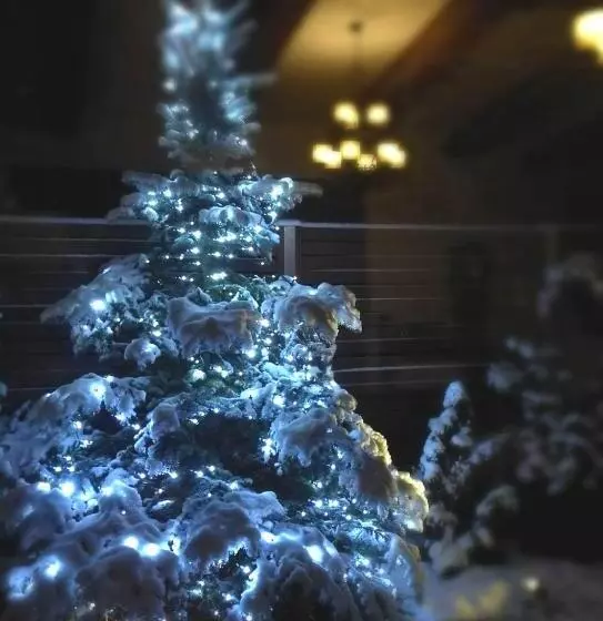 Lomakeskus Mevo Apartament