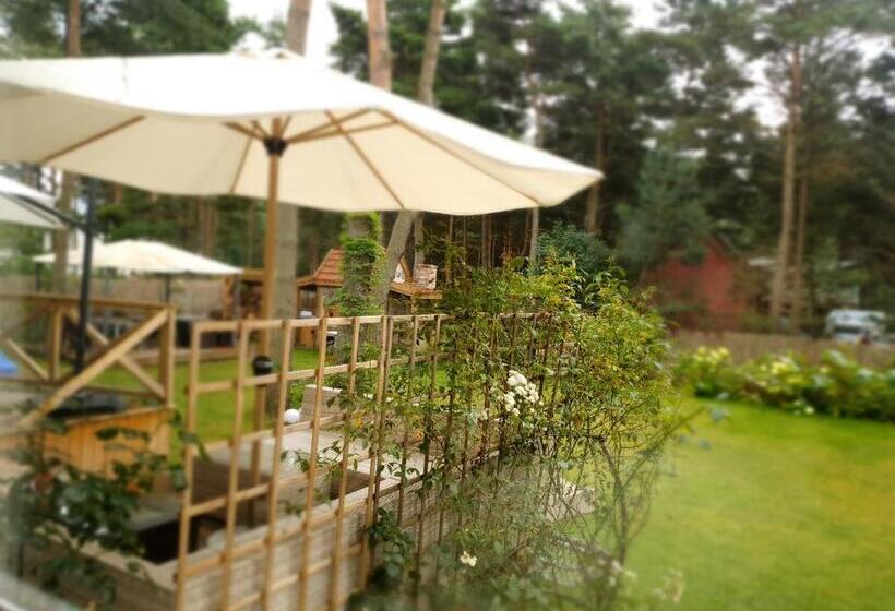 ベッドアンドブレックファースト Willa Vinci Rozewie