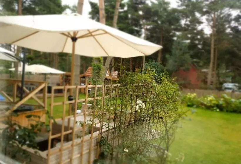 Aamiaismajoitus (B&B) Willa Vinci Rozewie