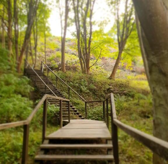 ベッドアンドブレックファースト Willa Vinci Rozewie