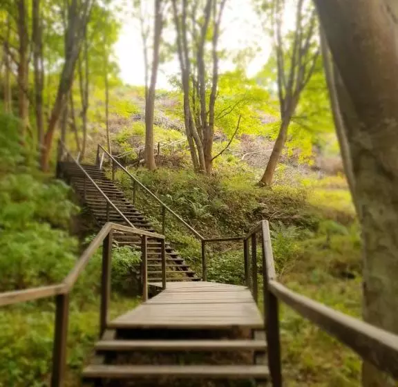 Aamiaismajoitus (B&B) Willa Vinci Rozewie