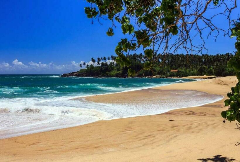 Пансион Ocean Dream