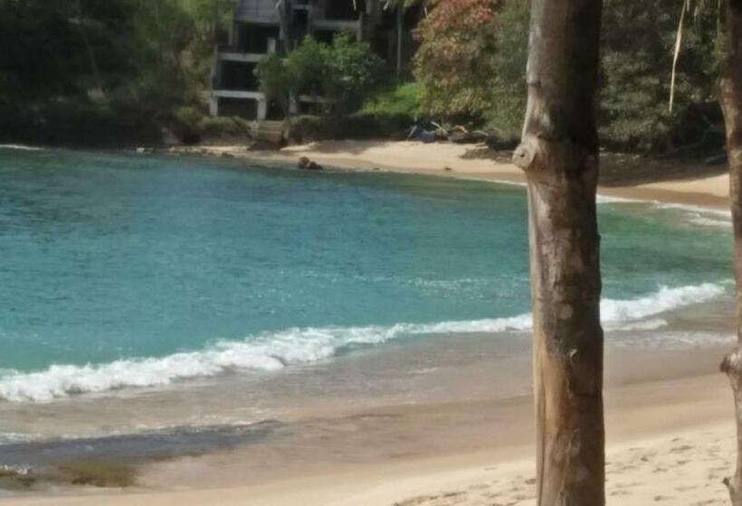 Пансион Ocean Dream